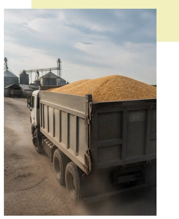 Перевозка сельхозпродукции навалом в Ачинск по цене от 3039 р. | Агросервис-Чнс